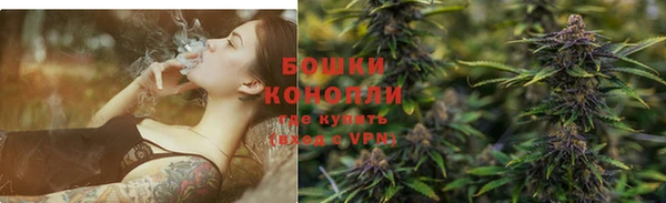 шишки Арсеньев