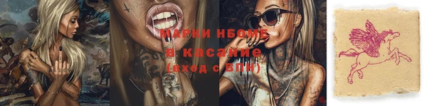 шишки Арсеньев