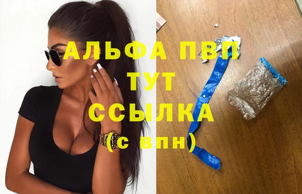 шишки Арсеньев