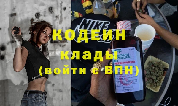 шишки Арсеньев
