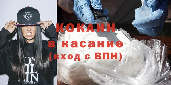 шишки Арсеньев