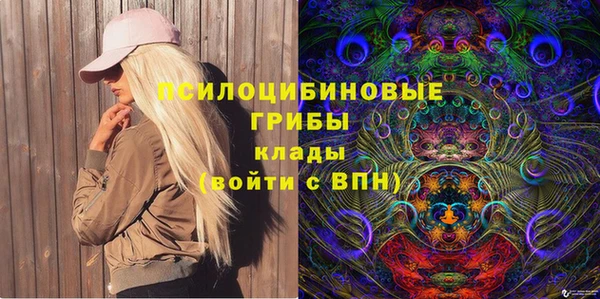 шишки Арсеньев