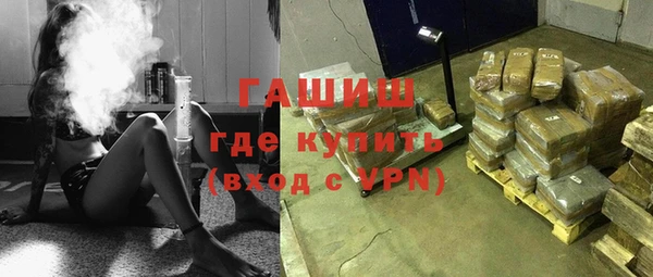 шишки Арсеньев