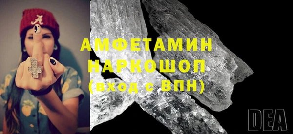 шишки Арсеньев