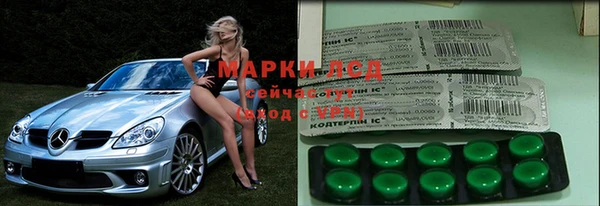 шишки Арсеньев